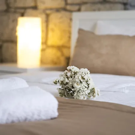Hotel Daria